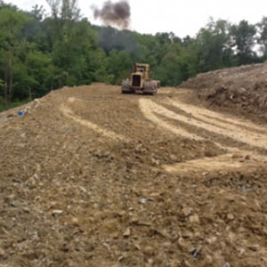 turkeyfoot1-768x280-1